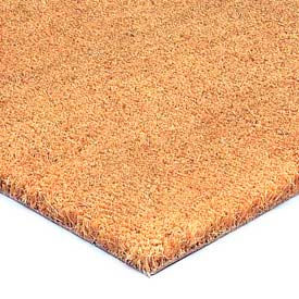 Example of GoVets Carpet category