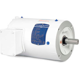Baldor-Reliance Motor VWDM3542 .33HP 1445RPM 3PH 50HZ 56C 3514M TENV F1 VWDM3542