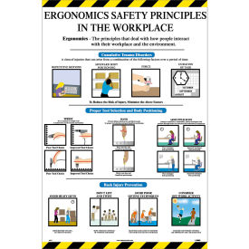 Poster Ergonomics Safety Principles 36 x 24 ESP1