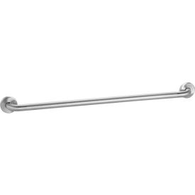 GoVets™ Straight Grab Bar Peened Stainless Steel - 36