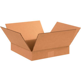 GoVets™ Flat Cardboard Corrugated Boxes 12