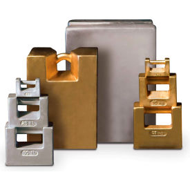 Rice Lake 20kg Grip Handle Weight Cast Iron ASTM Class 5 with Traceable Certificate - 12771TC 12771TC