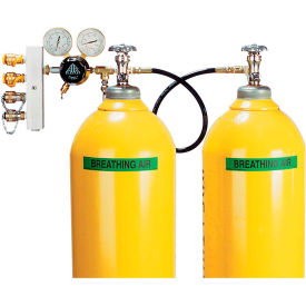 Air Systems International 2-Cylinder Breathing Air Cascade Assembly 3000 PSI Hansen CBA2-346NB CBA2-346NB-Hansen