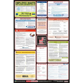 Labor Law Poster - Mississippi PPG300MS