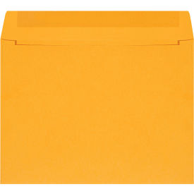 GoVets™ Self-Seal Envelopes 12