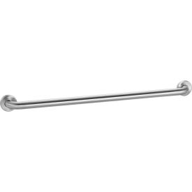 GoVets™ Straight Grab Bar Satin Stainless Steel - 36