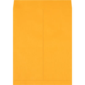 GoVets™ Jumbo Envelopes 17