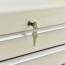 Replacement Lock Set with 2 Keys For GoVets™ 5-Drawer Medical Cart Model# 670147 220RP9