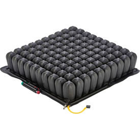 Example of GoVets Lumbar Support and Cushions category