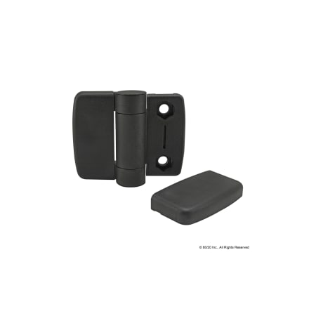 Standard Hinge W/Cover Caps Nylon Blk MPN:12165