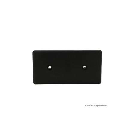 End Cap 45X90 2Pin Screw-In Nylon Blk MPN:12286