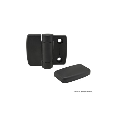 Standard Detent Hinge Notab Nylon Blk MPN:12326