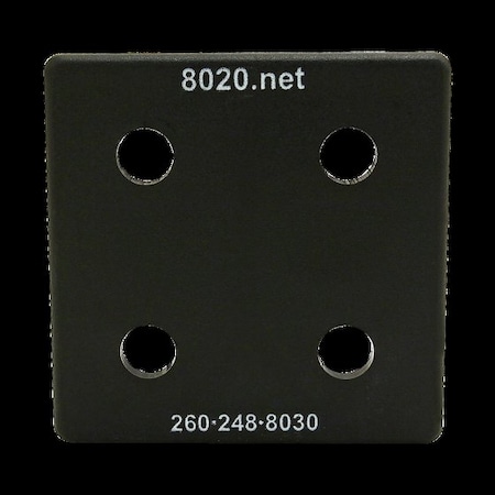 End Cap, Black, Push-Ins, 3030 MPN:2050