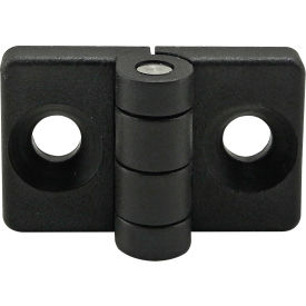 80/20® 20 Series 2 Hole - Standard Plastic Hinge Non-Detachable 12074