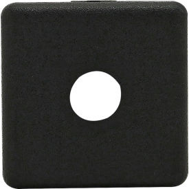 80/20® 25 Series 2015 Matte Finish Plain End Cap with Push-In Fastener 25-2015-PLAIN