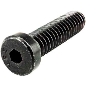 80/20 3017 Low Head Socket Cap Screw 1
