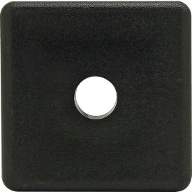 80/20® 40 Series Lite End Cap w/ Push-In Fastener Matte Finish Black 40-2030-PLAIN