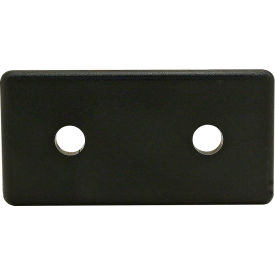 80/20® 40 Series Lite Plain End Cap w/ Push-Ins Matte Finish Black 40-2045-PLAIN