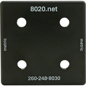 80/20® 40 Series End Cap w/ Push-Ins Matte Finish Black 40-2050