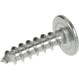 Allpoints 26-1494 Stainless Steel Phillips Truss Head 10 x 3/4