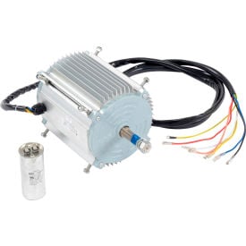 Replacement Motor for GoVets 48