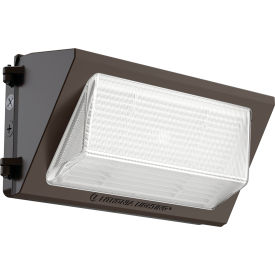 Example of GoVets Wall Pack Lights category