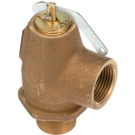 Allpoints 56-1349 50 PSI Brass Steam Safety Relief Valve - 3/4