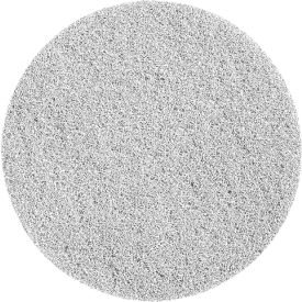 MotorScrubber Polishing Pad White 10/Case MS1066 - Pkg Qty 5