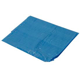 20' x 30' Light Duty 2.9 oz. Tarp Blue - B20x30 B20x30