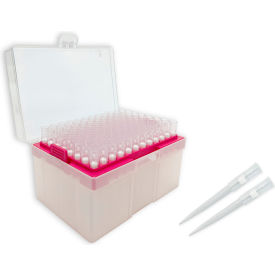 MTC™ Bio Pipette Tips For 200L & 300L Pipettes Filtered Sterile 10 Racks of 96 Tips P4300-FT