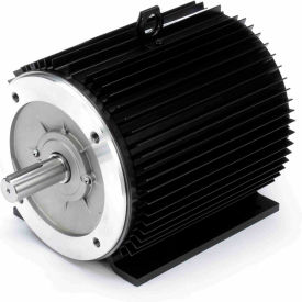 Marathon Vector Duty Motor 3 HP 1755 RPM 230/460V TENV Y541A