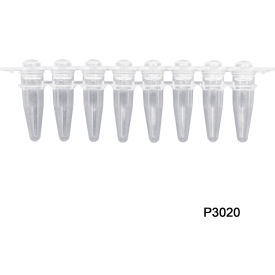 MTC Bio PureAmp 8 Strips PCR Tube with Separated Domed Caps 120 Pack P3020