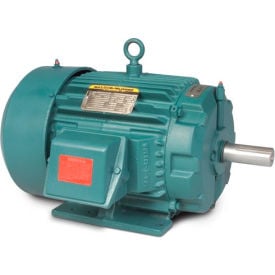 Example of GoVets Severe Duty Motors category