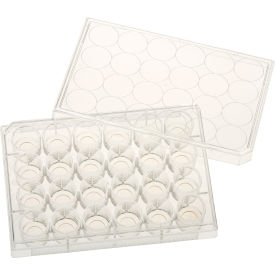 CELLTREAT® 24 Well Tissue Culture Plate with Lid 10mm Glass Bottom Individual Sterile 5/PK 229125