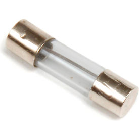 Replacement Fuse for GoVets™ 20