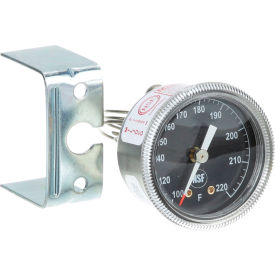 Allpoints 8010375 Thermometer For Groen NT1098