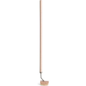 Bel-Art Cleanware Bottle Brush For Necks Larger Than 1