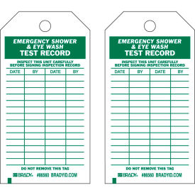 Brady® 86560 Emergency Shower & Eye Wash Test Record Tag Polyester 3