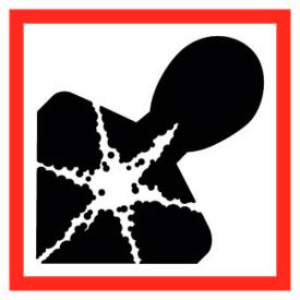 NMC GHS208AP Health Hazard GHS Label Vinyl 2