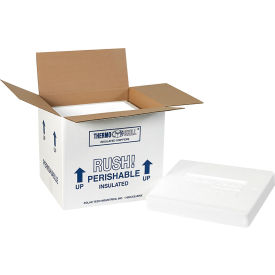 GoVets™ Foam Insulated Shipping Kits 10-1/2