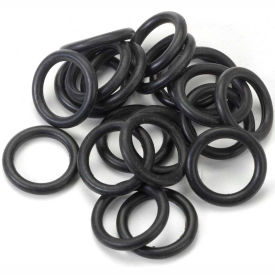 Thermo Scientific O-Ring For 50mL Tubes For Digital Bottle/Tube Roller 88881003 20/Pack 88881011