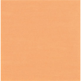 GoVets™ Kraft Paper Sheets 50 lbs. 12