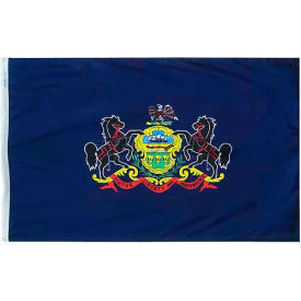 3X5 Ft. 100 Nylon Pennsylvania State Flag 144660