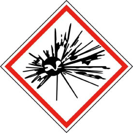 NMC GHS202AP Explosive GHS Label Vinyl 2