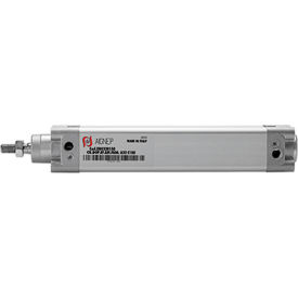 Aignep USA ISO 15552 Double Acting Magnetic Cylinder 32mm Bore x 350mm Stroke XH0320350