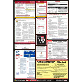 Labor Law Poster - Michigan PPG300MI