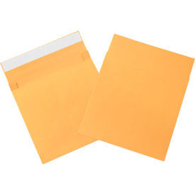 GoVets™ Expandable Self-Seal Envelopes 10
