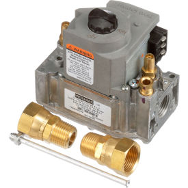 Allpoints 541177 Gas Valve - Ce 60113503-C