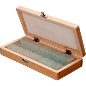 AmScope PS50A 50 pc. Biology Pathology Prepared Microscope Slides PS50A