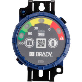 Brady® 150744 Brady Inspection Timer 365 Day 10 Pack LED Lights ABS Plastic Blue 150744